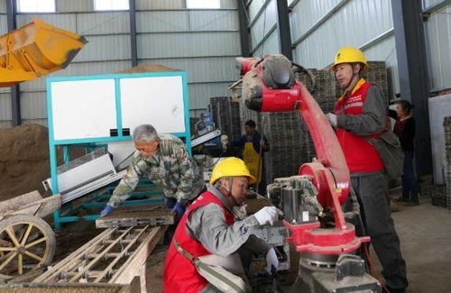 墊江“紅馬甲”化身“電保姆”，為春耕春播注入暖心動力